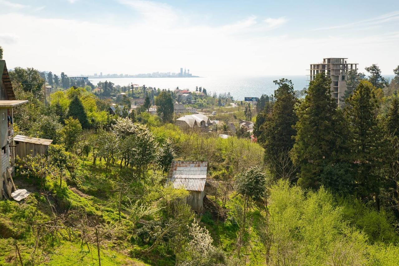 Sunny Hotel Batumi 马钦加里 外观 照片